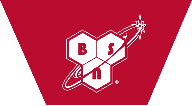 BSN logo